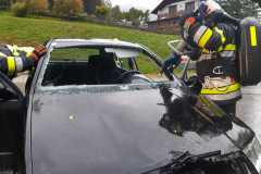 IMG-20201010-WA0017